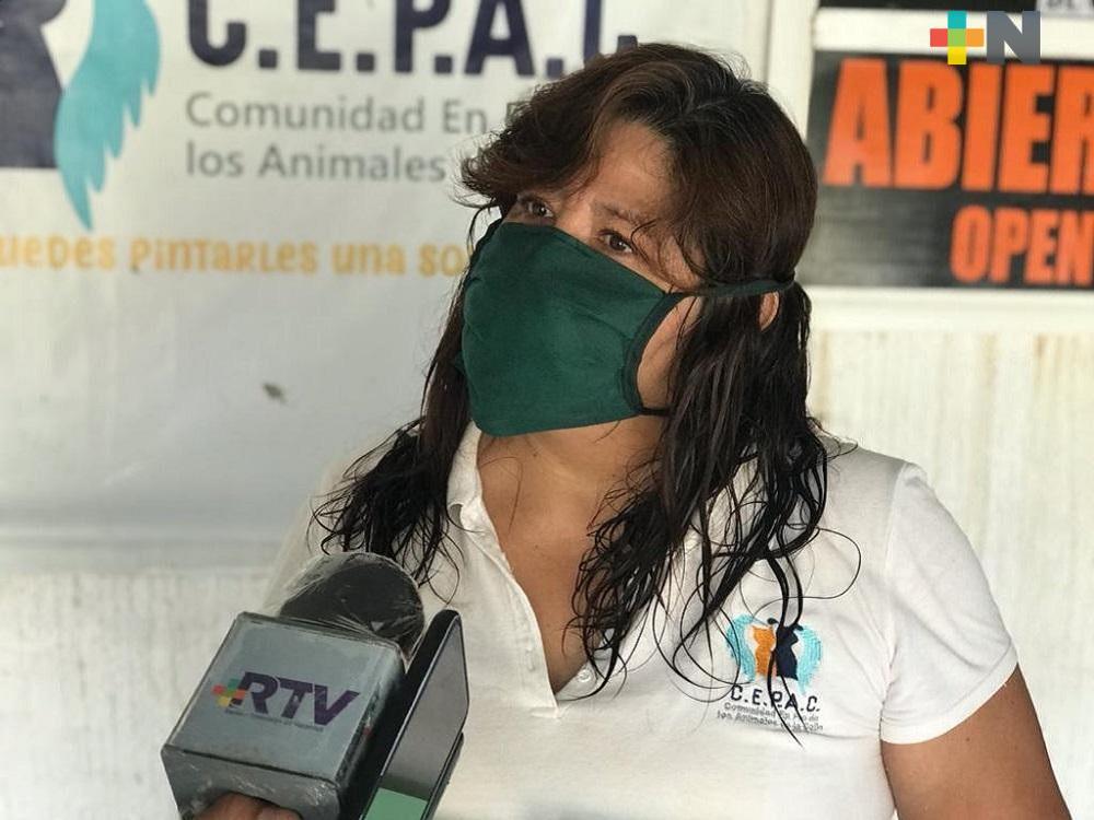En Coatzacoalcos realizarán reciclatón a beneficio de animales en situación de calle