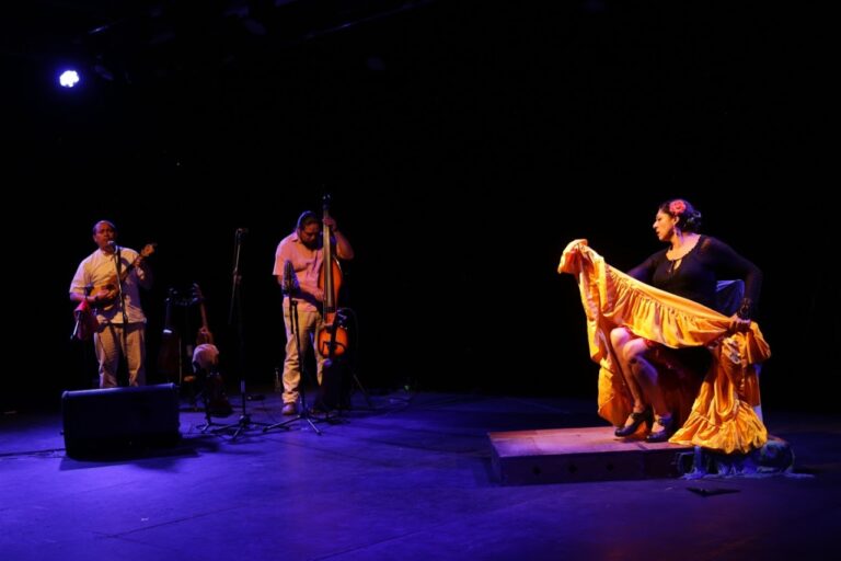 Charlas sobre cultura y vida comunitaria presenta el IVEC en línea