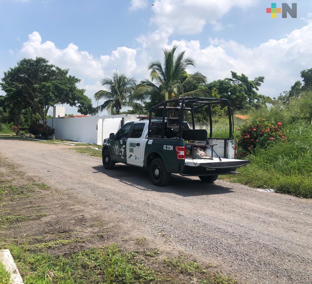 Golpe al narco en Veracruz; SSP decomisa casi 3 toneladas de droga y armas; hay 5 detenidos