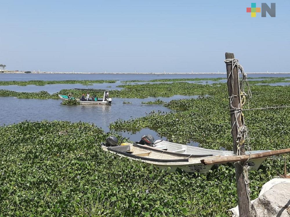 Localizan a pescadores desaparecidos en bocana del río Coatzacoalcos