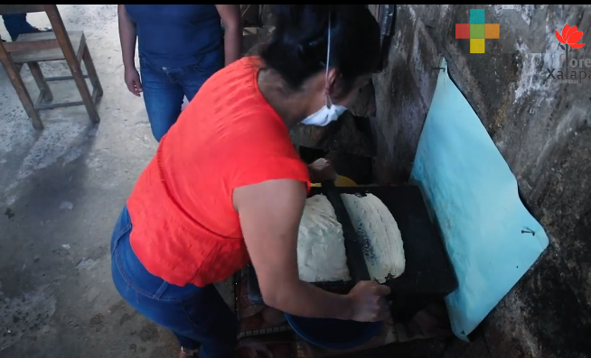 Con apoyo del Ayuntamiento de Xalapa, mujeres forman cooperativa para garantizar una economía sustentable