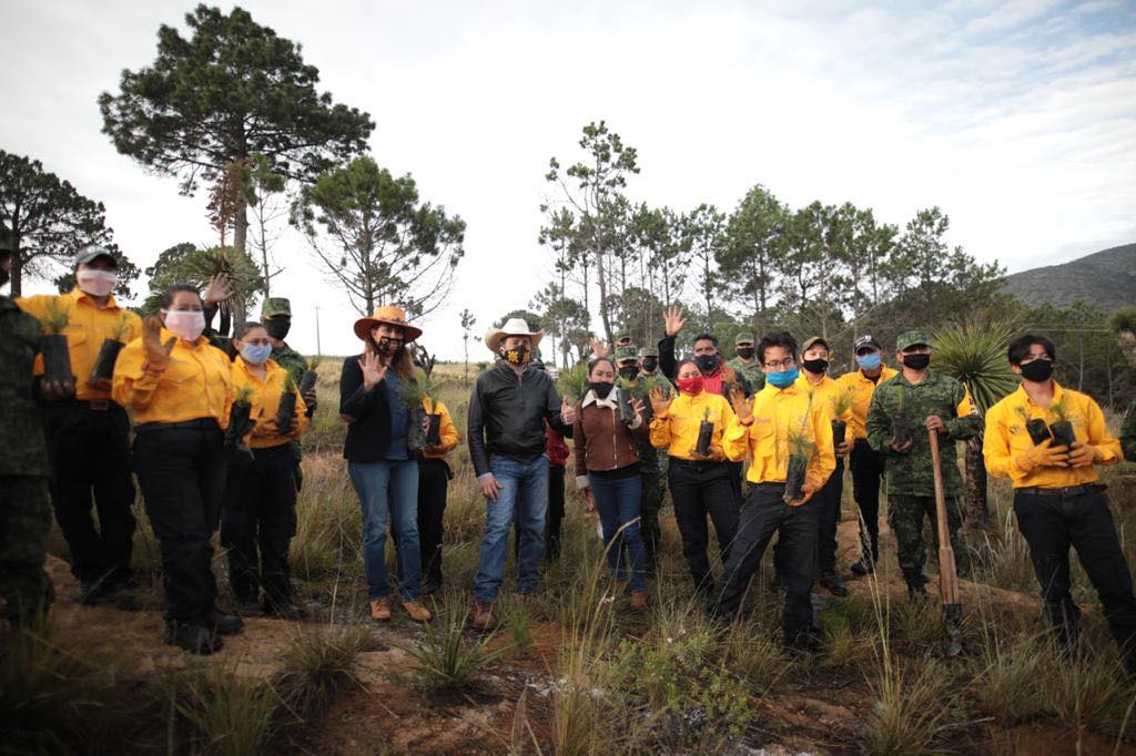 Gobernador de Veracruz dio inicio al programa “Plantando el Futuro” en el Cofre de Perote