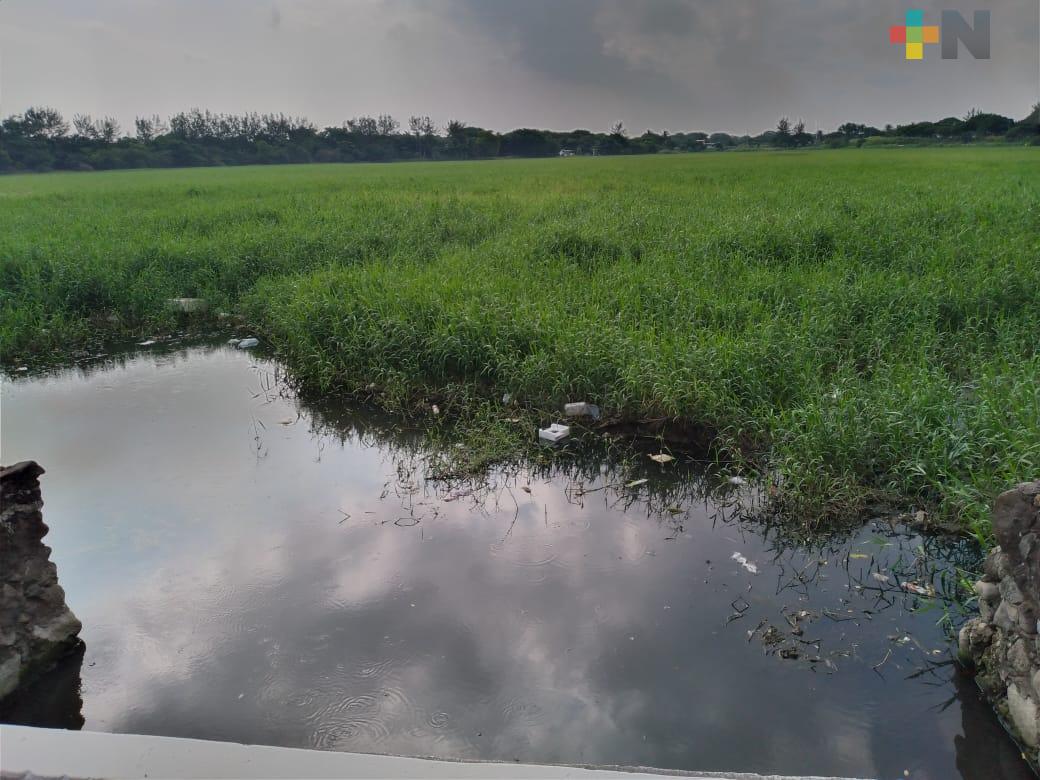 Piden dragar laguna Lagartos en municipio de Veracruz