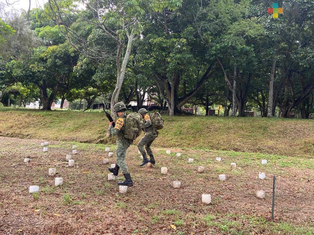 Proyecto para crear Comandancia del Ejército avanza en el Senado de la República