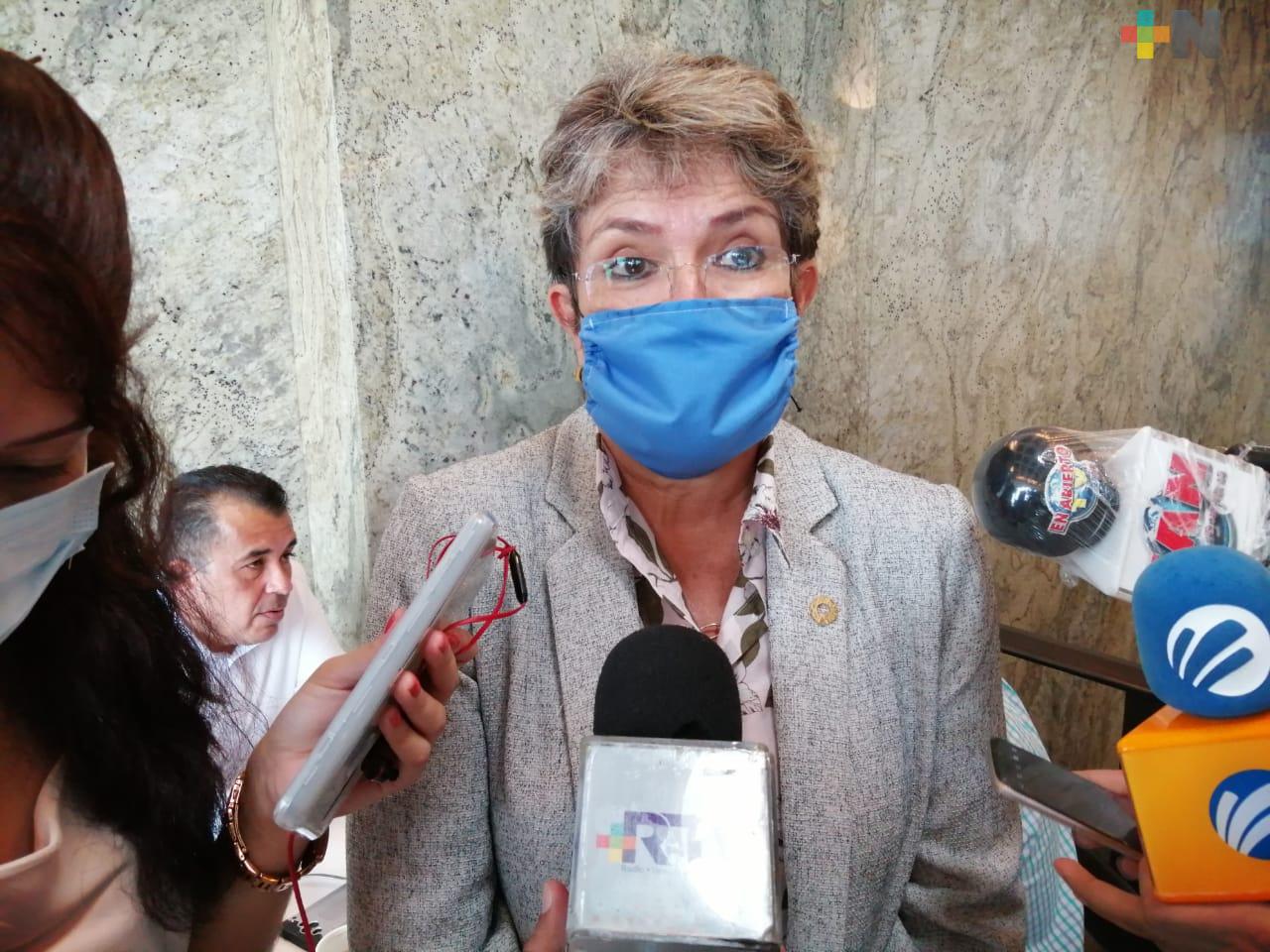 CFE debería reclasificar  tarifas en el estado de Veracruz, como lo hizo en Tabasco: Canacintra