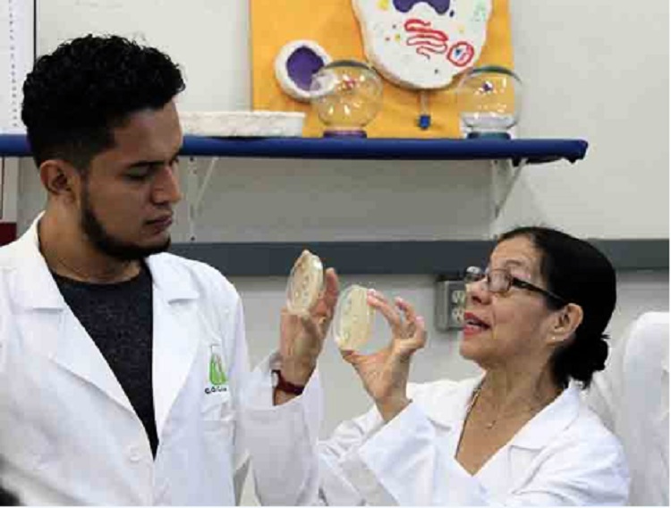 Detectan especialistas del IPN bacterias difíciles de combatir en hospitales