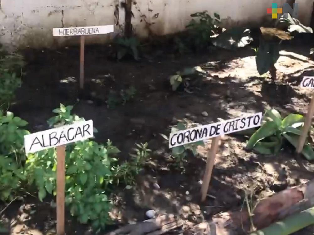 En Tuxpan fue inaugurado un nuevo espacio dedicado a la medicina tradicional