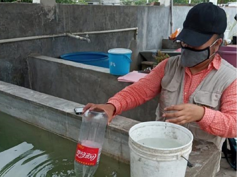 En combate al dengue, se han eliminado más de dos millones de huevecillos del mosco transmisor
