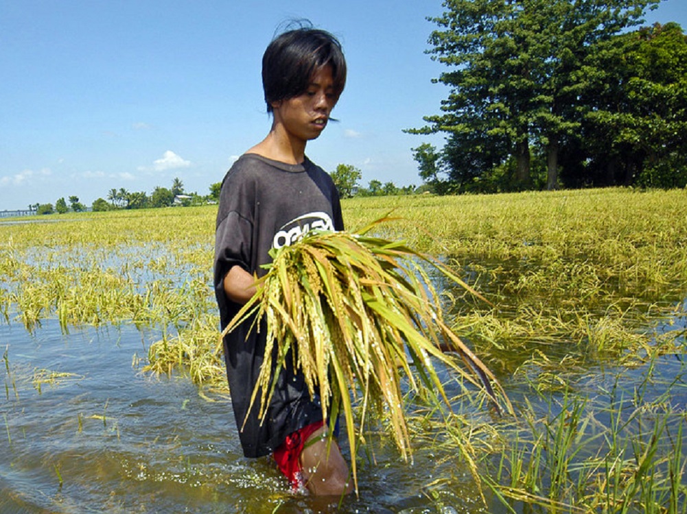 Fenómeno de La Niña se consolida y amenaza con lluvias en el norte de América del Sur