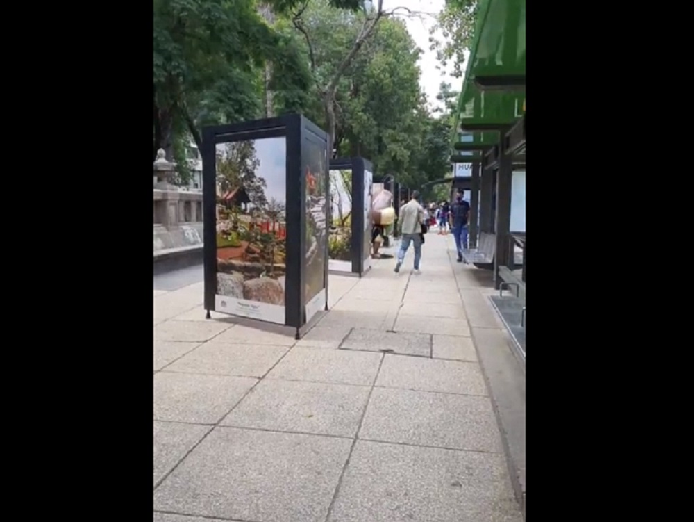 Fue inaugurada en CDMX la exposición “Regiones de las altas montañas de Veracruz”