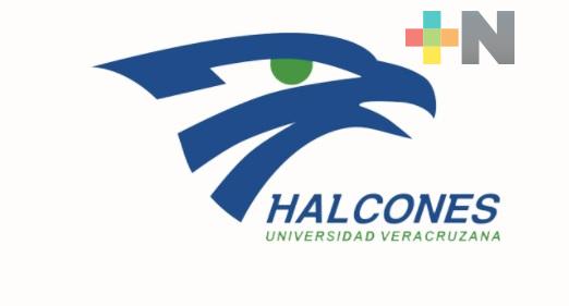 Copa Halcón “On line” registró buenas marcas