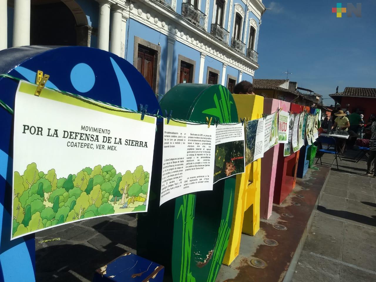 Habitantes de Coatepec piden se detengan invasiones en la sierra alta