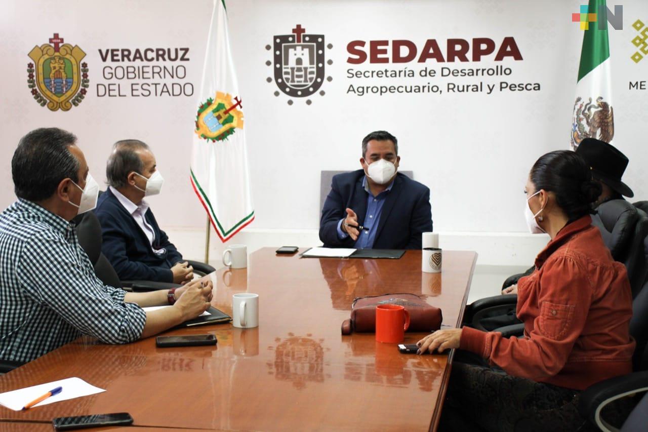 Plantea SEDARPA esquema de financiamiento para capitalizar al sector cafetalero