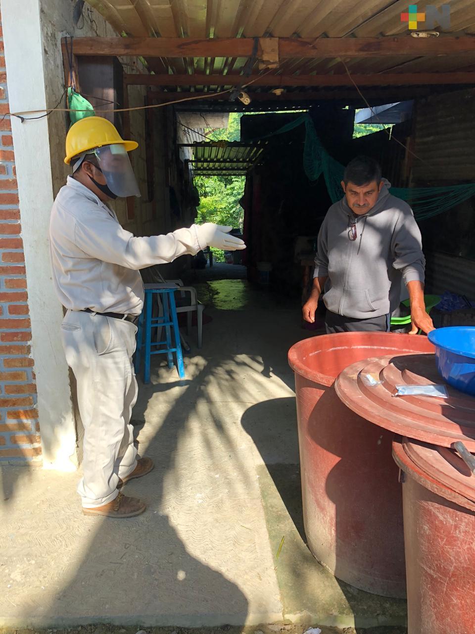 En combate al dengue, se han eliminado más de dos millones de huevecillos del mosco transmisor