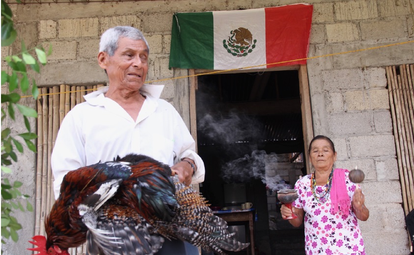 Emite IVEC resultados de la convocatoria Tesoros Humanos Vivos de Veracruz