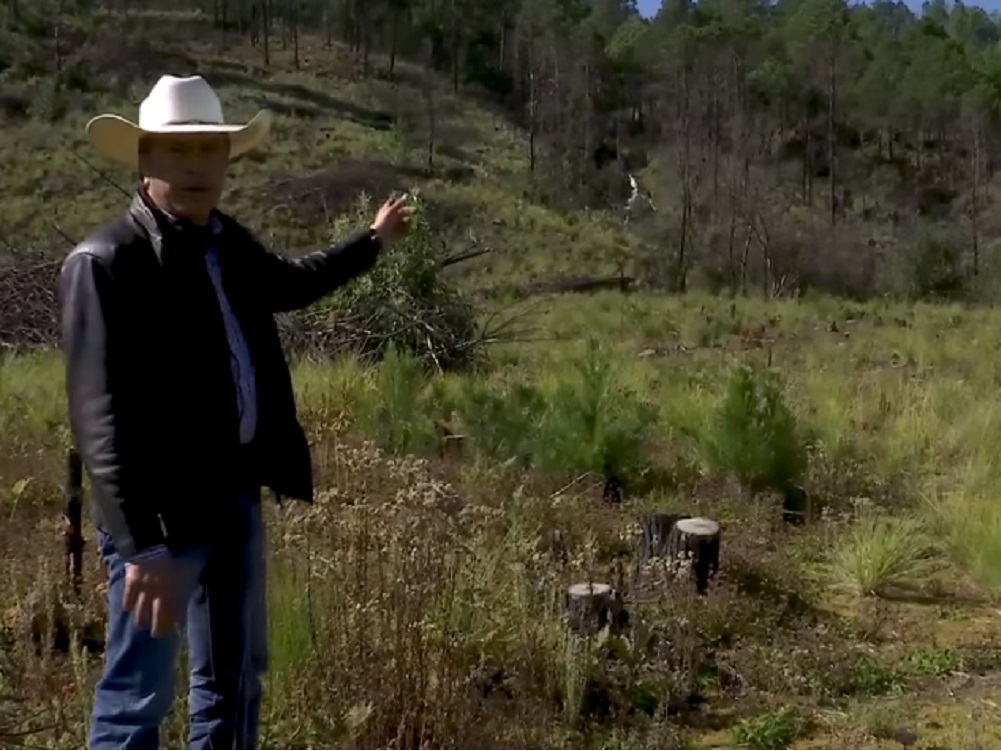 Inspecciona gobernador Cuitláhuac García trabajos de reforestación de la reserva San Juan del Monte