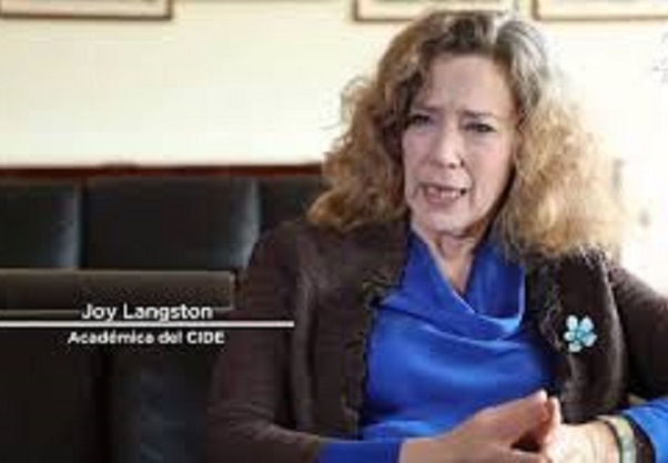Mujeres tendrían que entrar a la política sin discriminación ni prejuicio: Joy Langston
