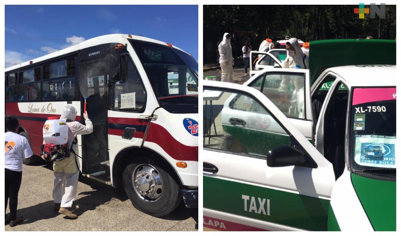 Organización realiza desinfección de transporte público cada semana