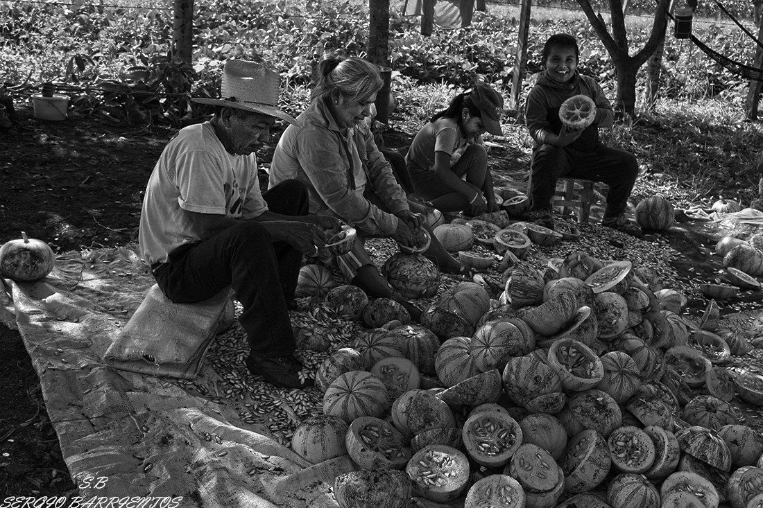 Ejido El Coyol, Veracruz