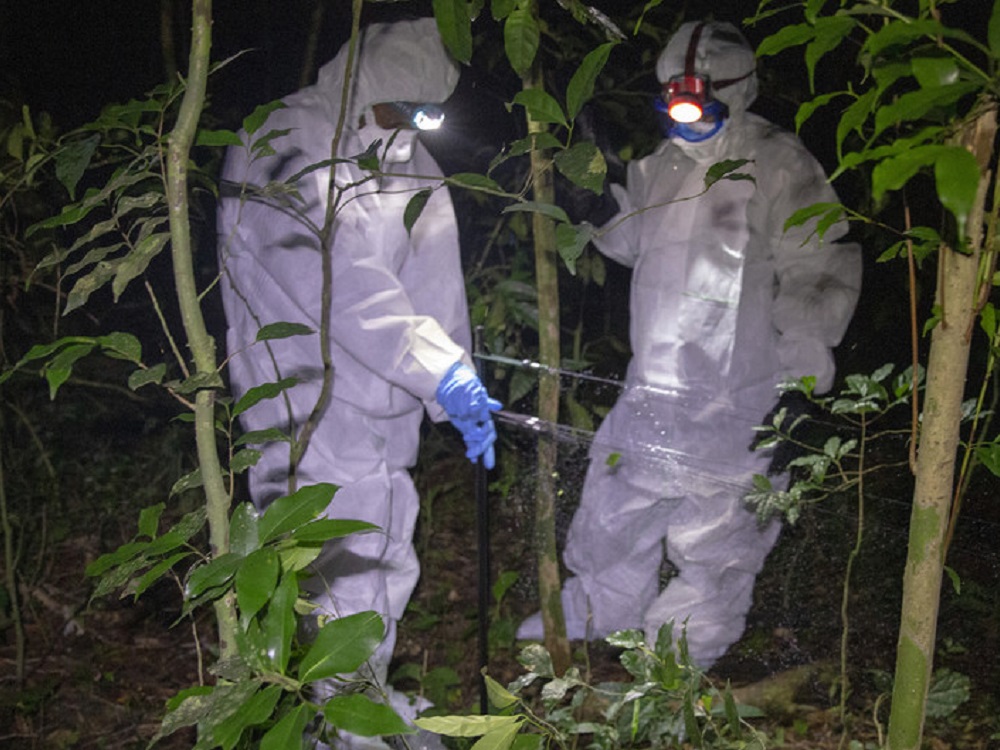 Unos 850 mil virus desconocidos podrían causar pandemias si no dejamos de explotar la naturaleza