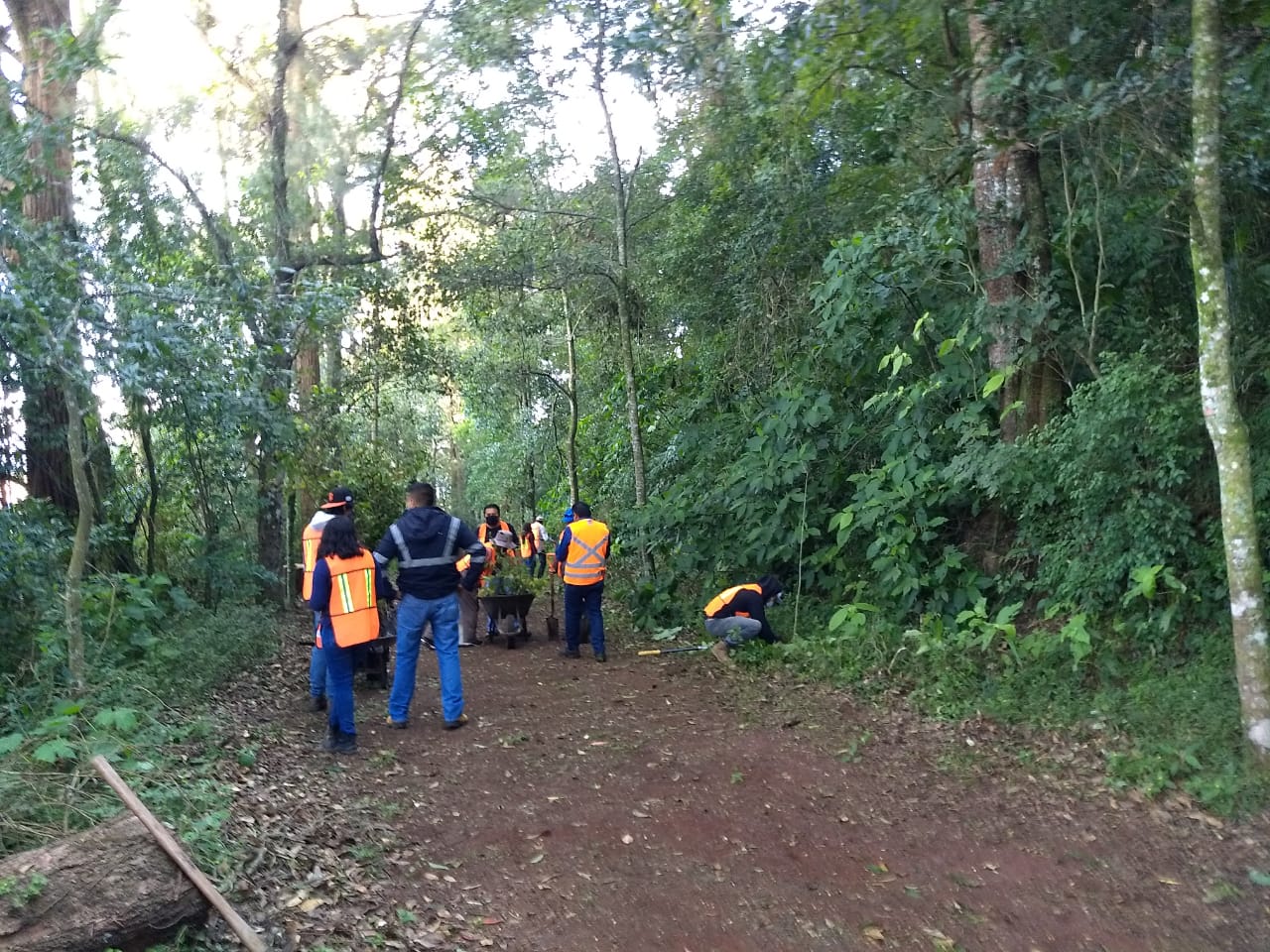 Secretaría de Trabajo abre 9 mil 500 espacios laborales para quienes perdieron su empleo durante la pandemia