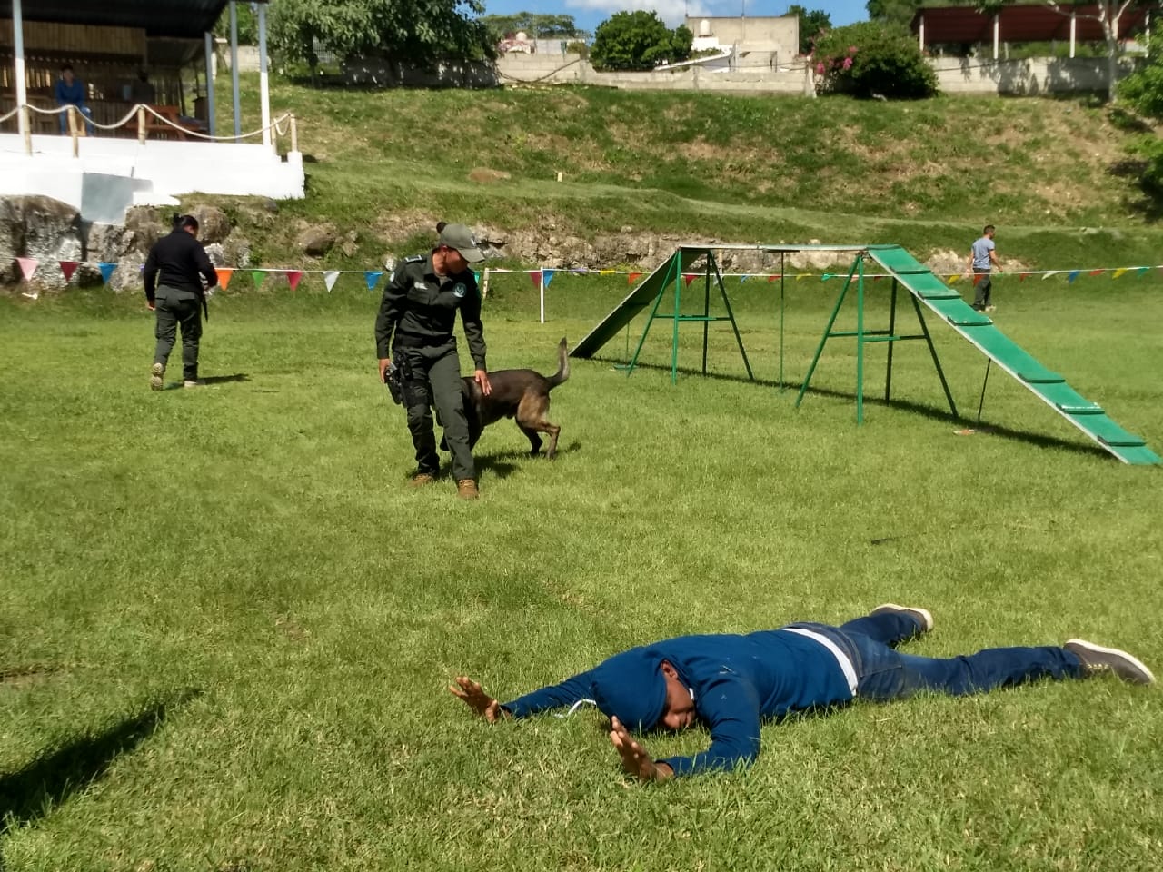 Caninos policías K-9 ayudan en búsqueda de restos y detección de drogas