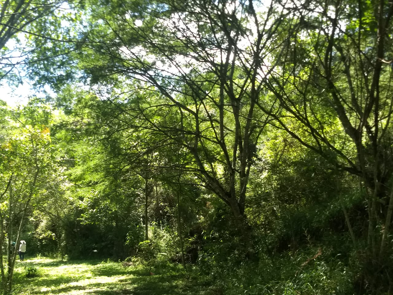 Se proyecta en la capital veracruzana el ecoparque Don Roberto