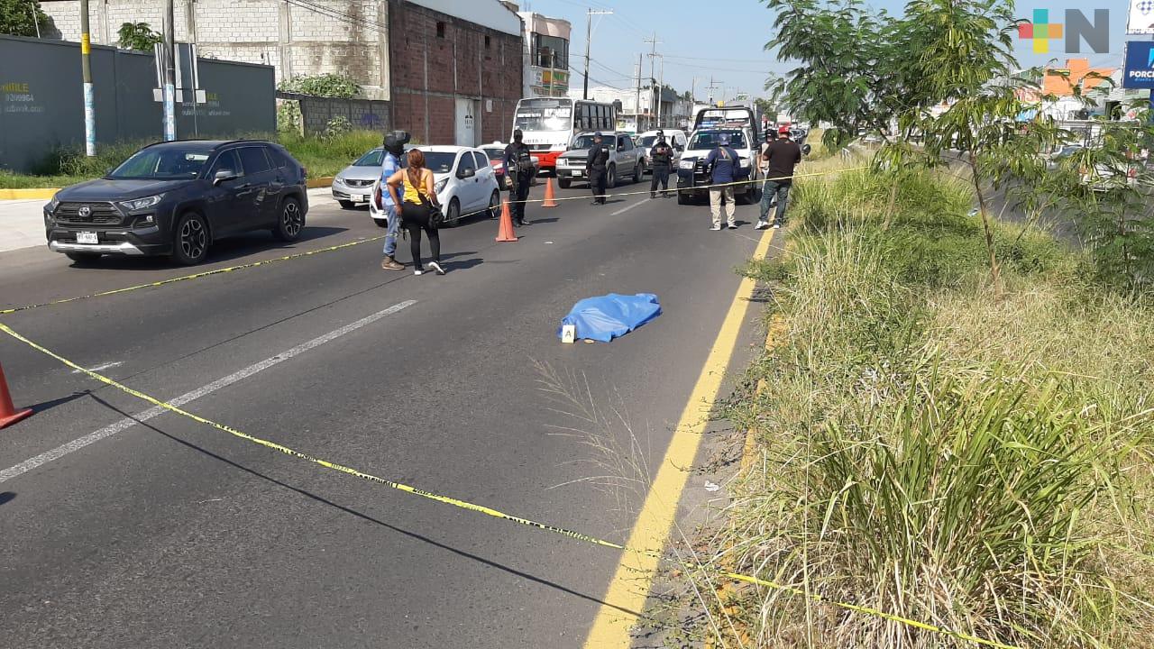Adulto mayor murió tras ser atropellado en la carretera federal Veracruz-Xalapa