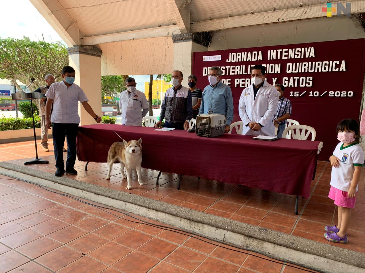 Iniciarán jornada de esterilización de perros y gatos en Coatzacoalcos