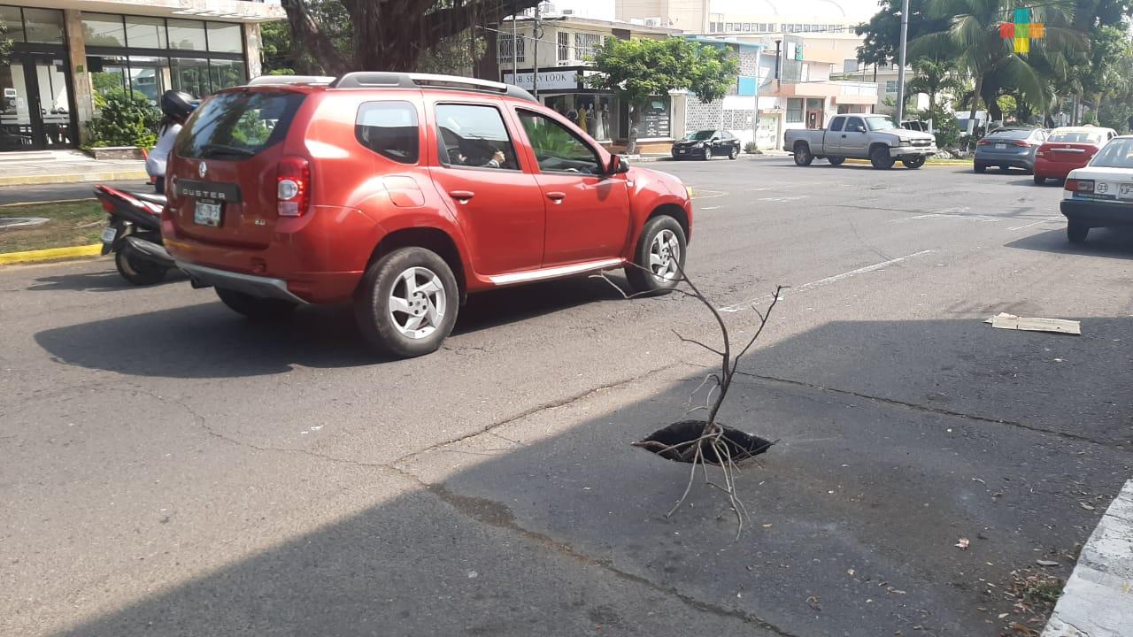 Piden reparar hundimiento en avenida Cristóbal Colón del municipio de Veracruz