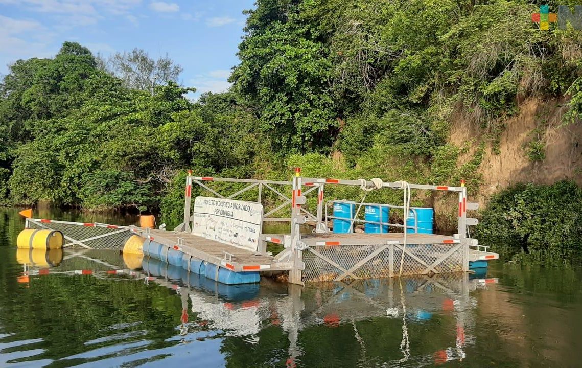 Con jaula de acero flotante, Kayám busca limpiar el río Jamapa; requieren sumar esfuerzos