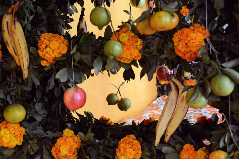 Este fin de semana: guitarra, marimba y la celebración de Día de Muertos en la Huasteca