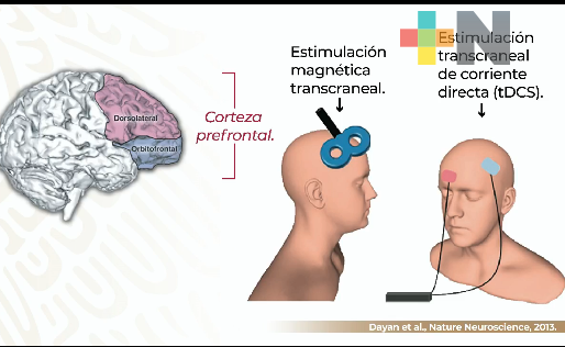 Existen tratamientos biológicos para tratar salud mental