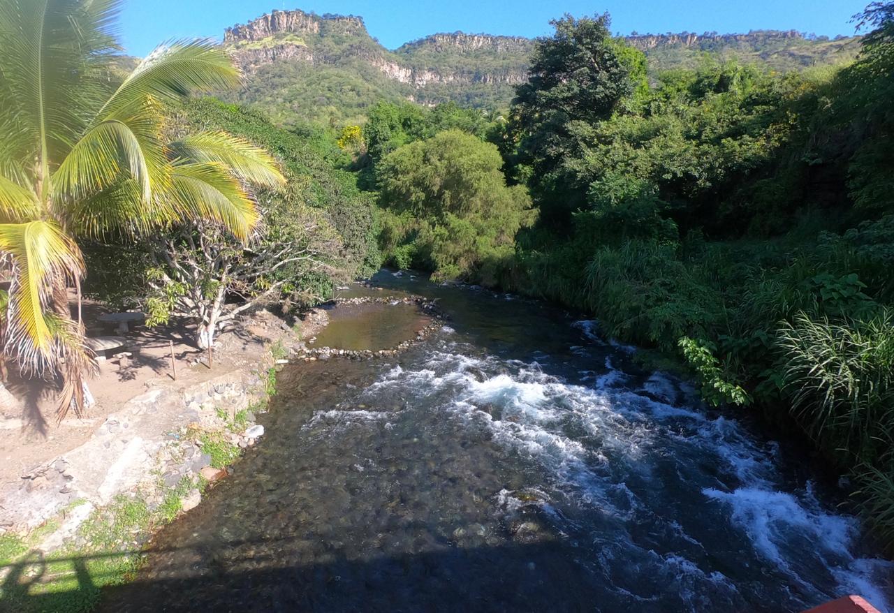 Actopan, la tierra del mango