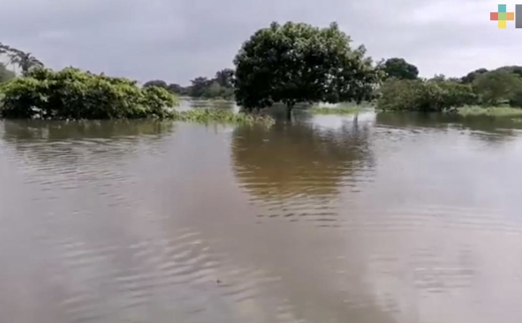 Los ríos Tancochapa y Uxpanapa siguen arriba de su escala crítica, en el sur de Veracruz