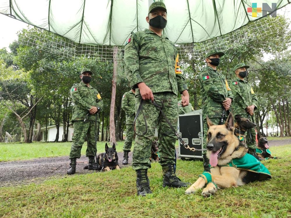 Batallón de Infantería realizó demostración de binomios caninos que participan en plan DN-III-E