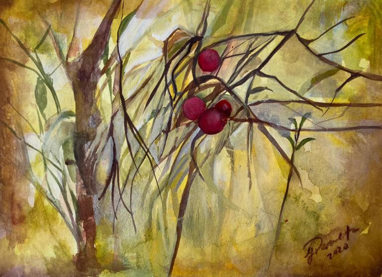 IVEC publica catálogo digital de infografías sobre especies vegetales