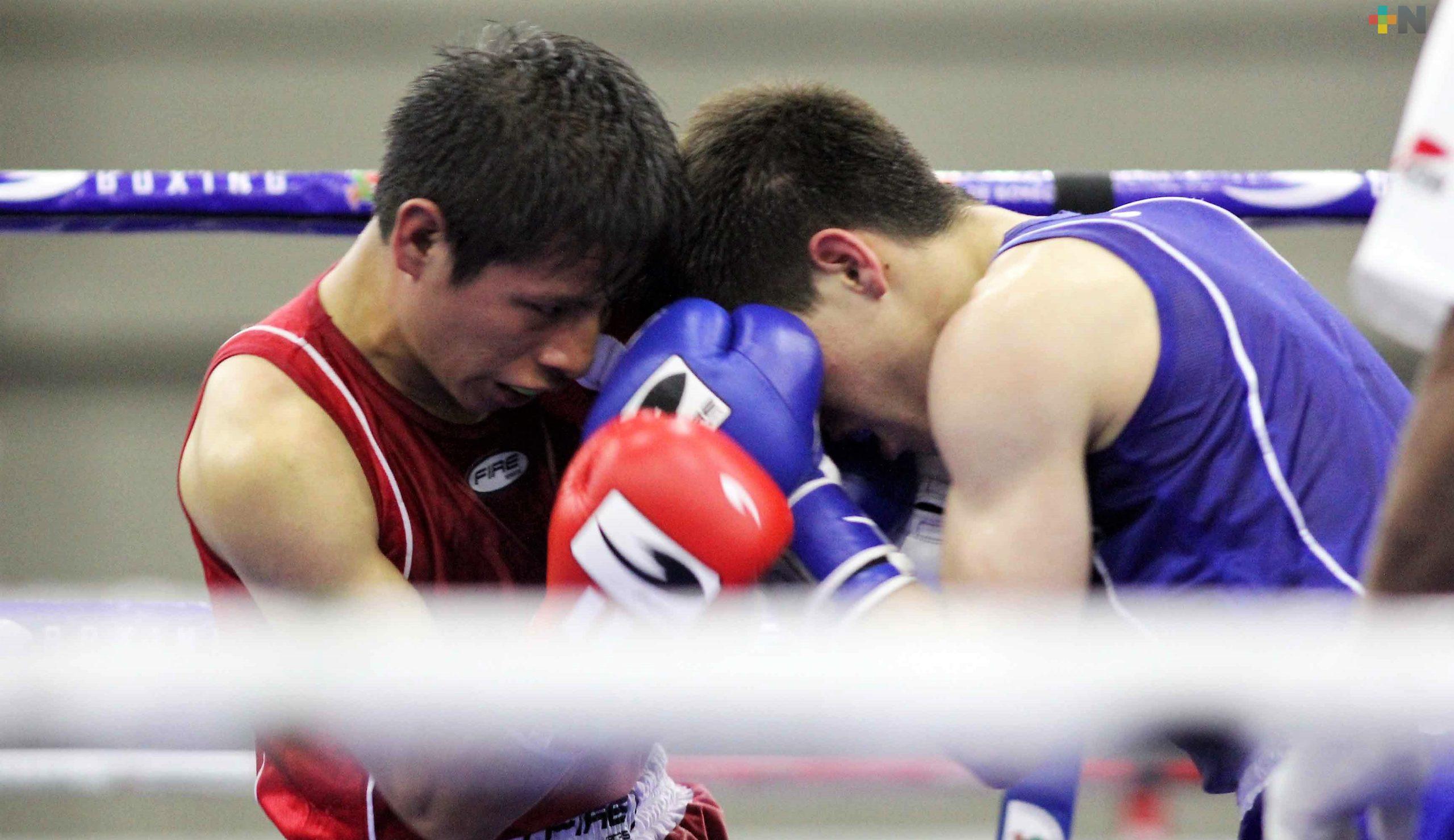 Boxeo veracruzano en sinergia con la Federación Mexicana