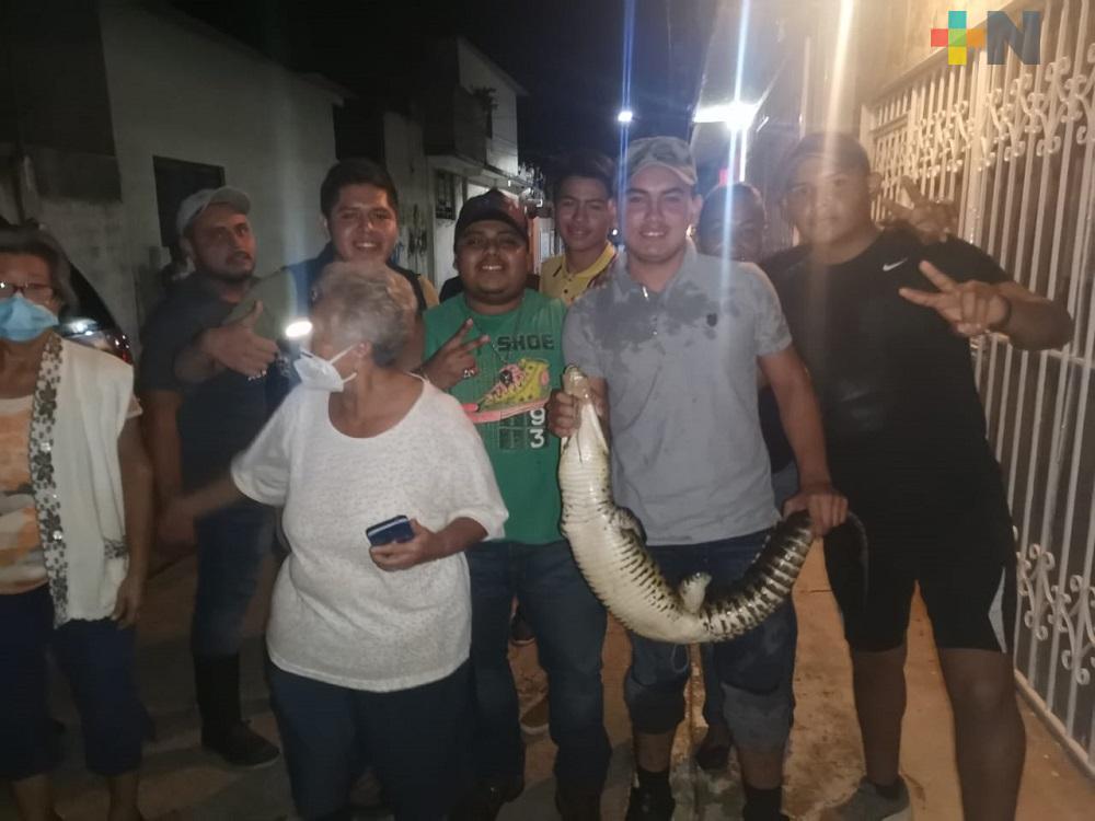 Capturan a lagarto que merodeaba en colonia del municipio de Las Choapas