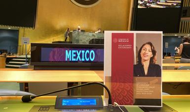 Mexicana es electa como miembro de la Dependencia Común de Inspección (DCI)