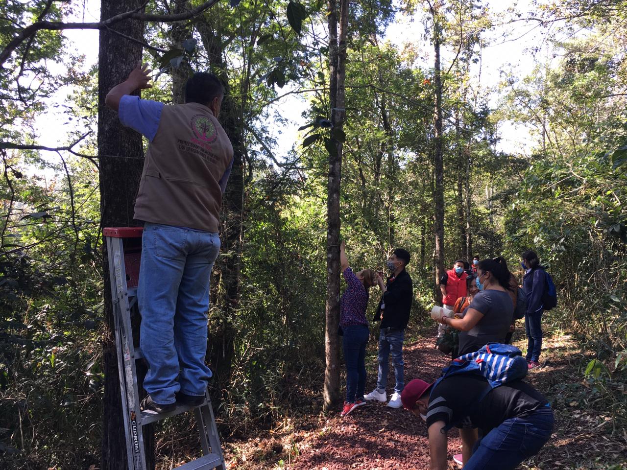 Realizaron jornada de preservación del Cerro de la Galaxia