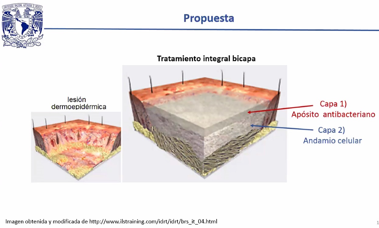 Estudian en la UNAM materiales para curar quemaduras graves