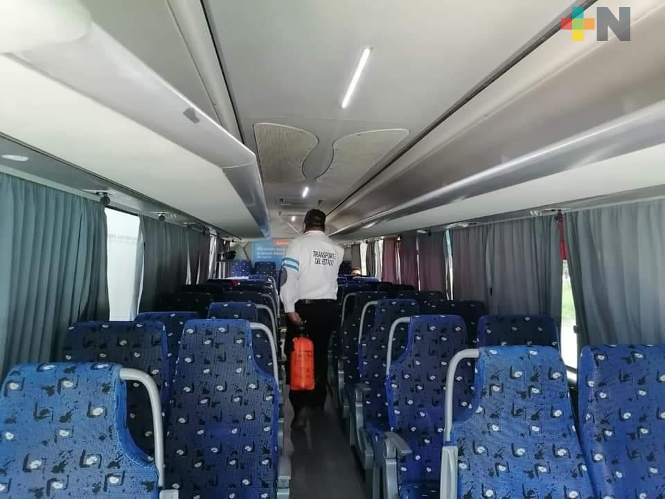 Desinfectan taxis y autobuses en Xalapa