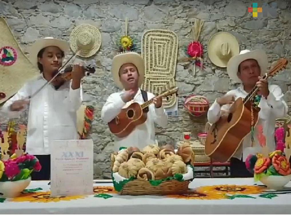 Distintas actividades se realizaron en Festival Anual del Huapango