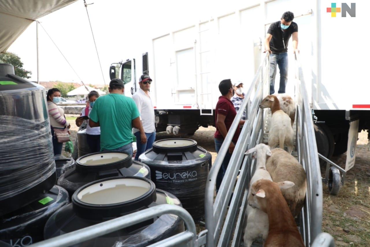 Con Proyectos Productivos, DIF impulsa economía familiar en región Altas Montañas