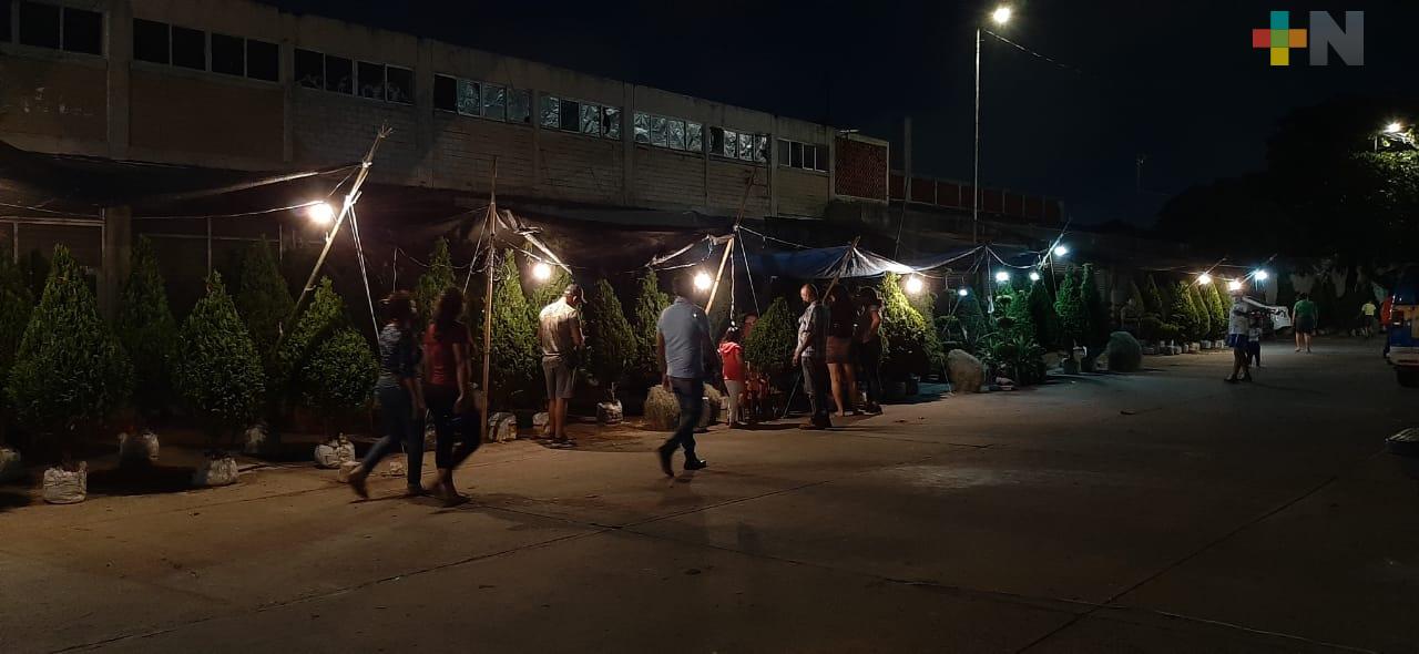 Ayuntamiento de Veracruz condiciona venta de pinos en mercado Polvorín