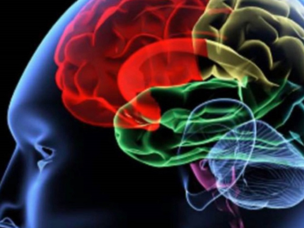 Innovador Banco de Cerebros, creado en la UNAM para diagnosticar en vida