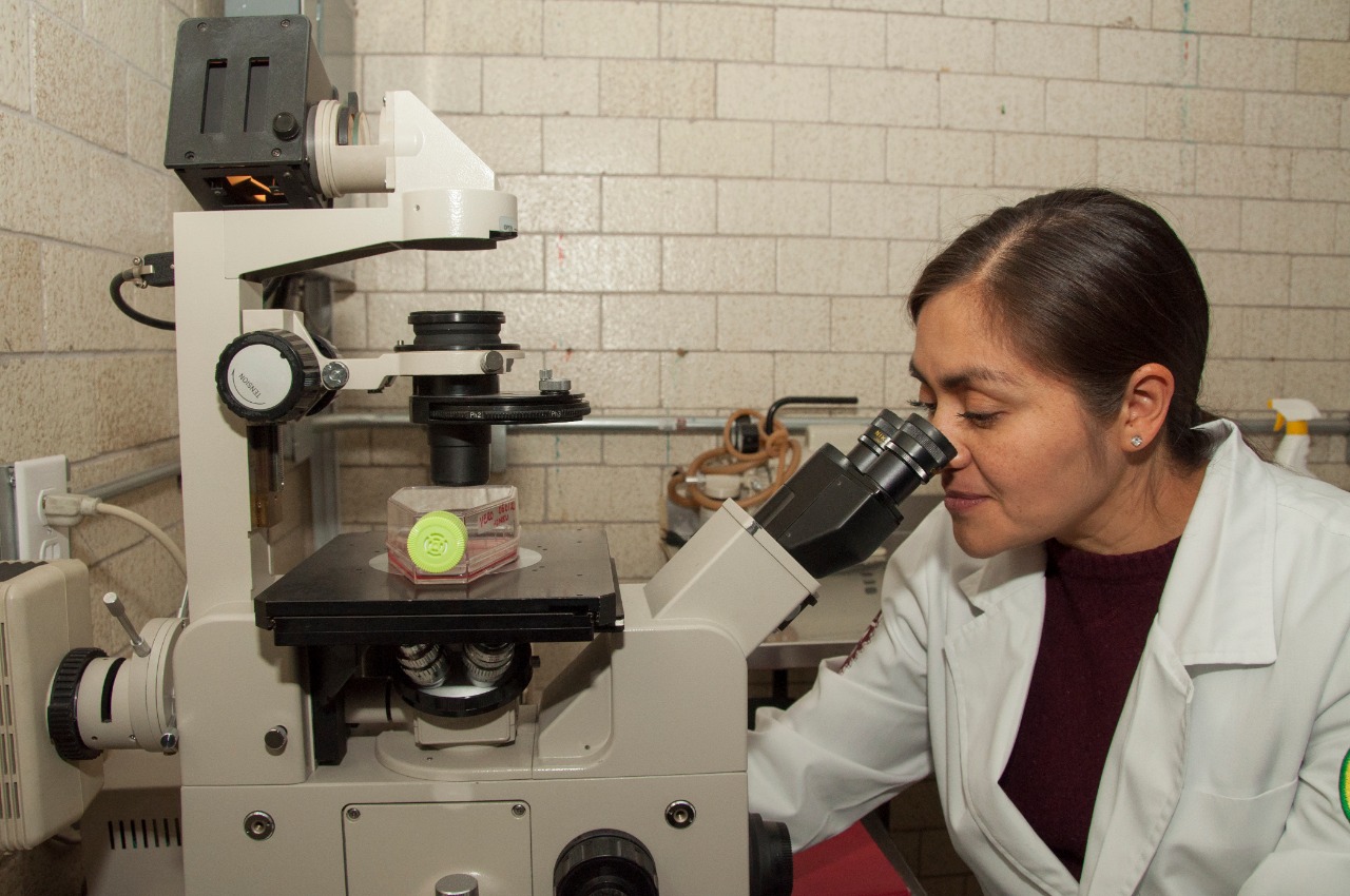 Investiga el IPN si algunas vacunas ofrecen inmunidad cruzada contra COVID-19