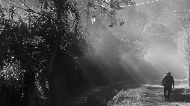 Presenta IVEC exposición fotográfica Miradas desde el Archipiélago