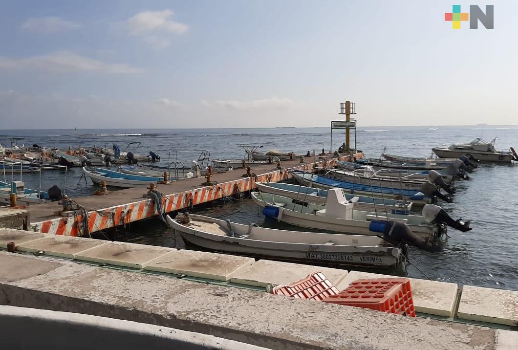 Pescadores reanudan actividades en el puerto de Veracruz